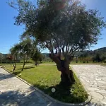 Vians Olympia