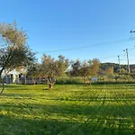 Vians Olympia