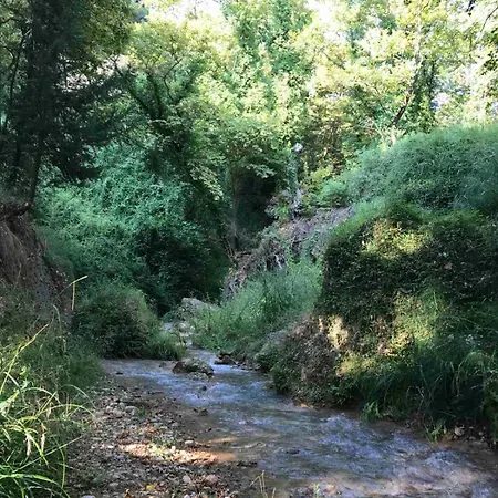 Hotel Vians Olympia Ancient Olympia