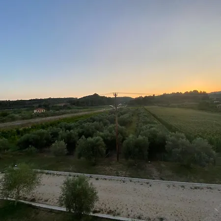 Hotel Vians Olympia