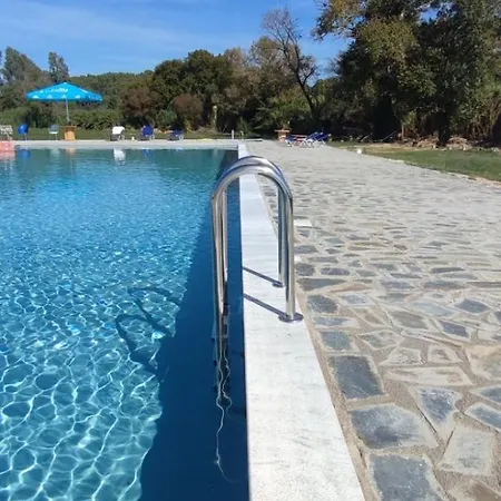 Vians Olympia Ancient Olympia