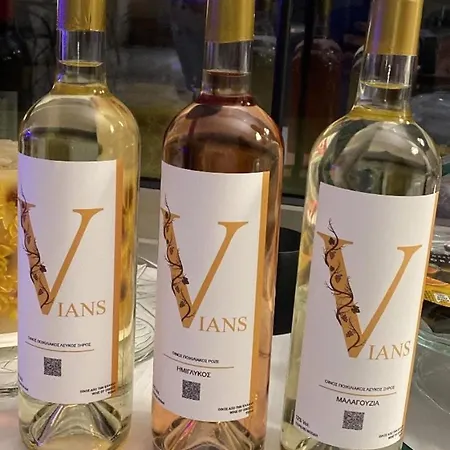 Hotel Vians Olympia Olimpia