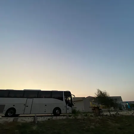 Vians Olympia オリンピア