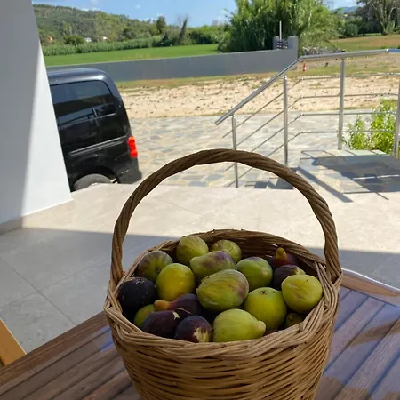 Vians Olympia Hotel Ancient Olympia