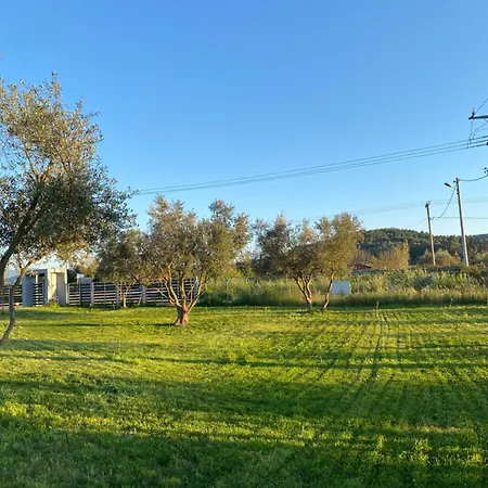 Vians Olympia