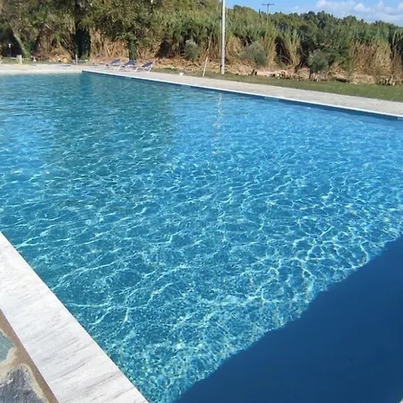 Vians Olympia