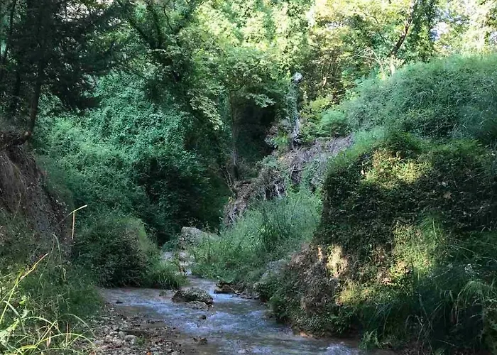 ホテル Vians Olympia オリンピア