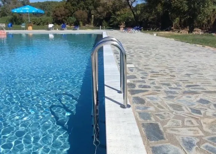 Vians Olympia オリンピア