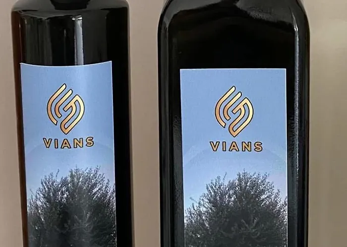 Vians Olympia Otel Ancient Olympia