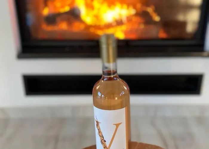 Vians Olympia ホテル