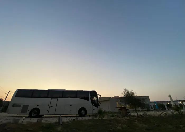 Vians Olympia オリンピア