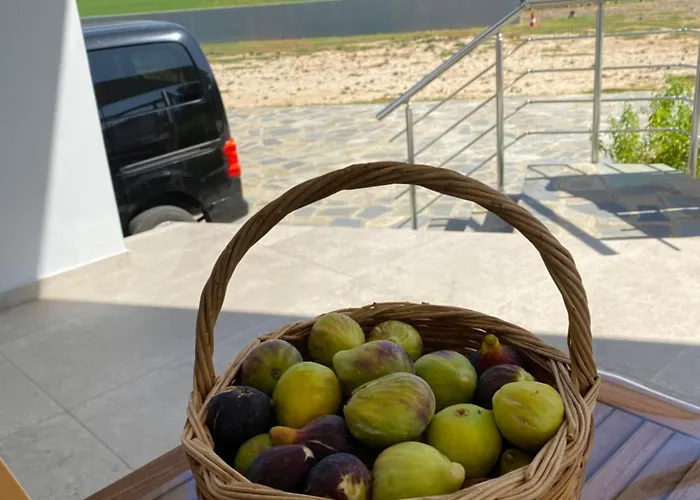 Vians Olympia ホテル オリンピア