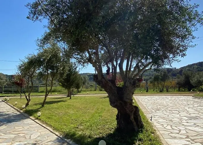 Vians Olympia